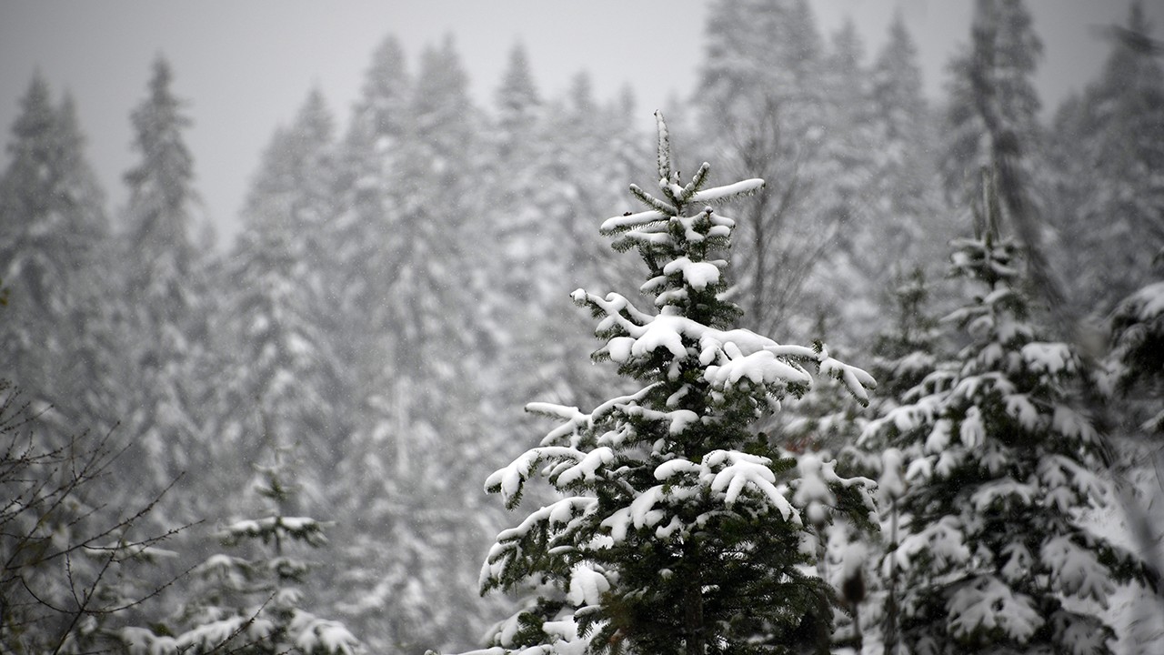 Ilgaz Dağı mayıs ayında beyaza büründü