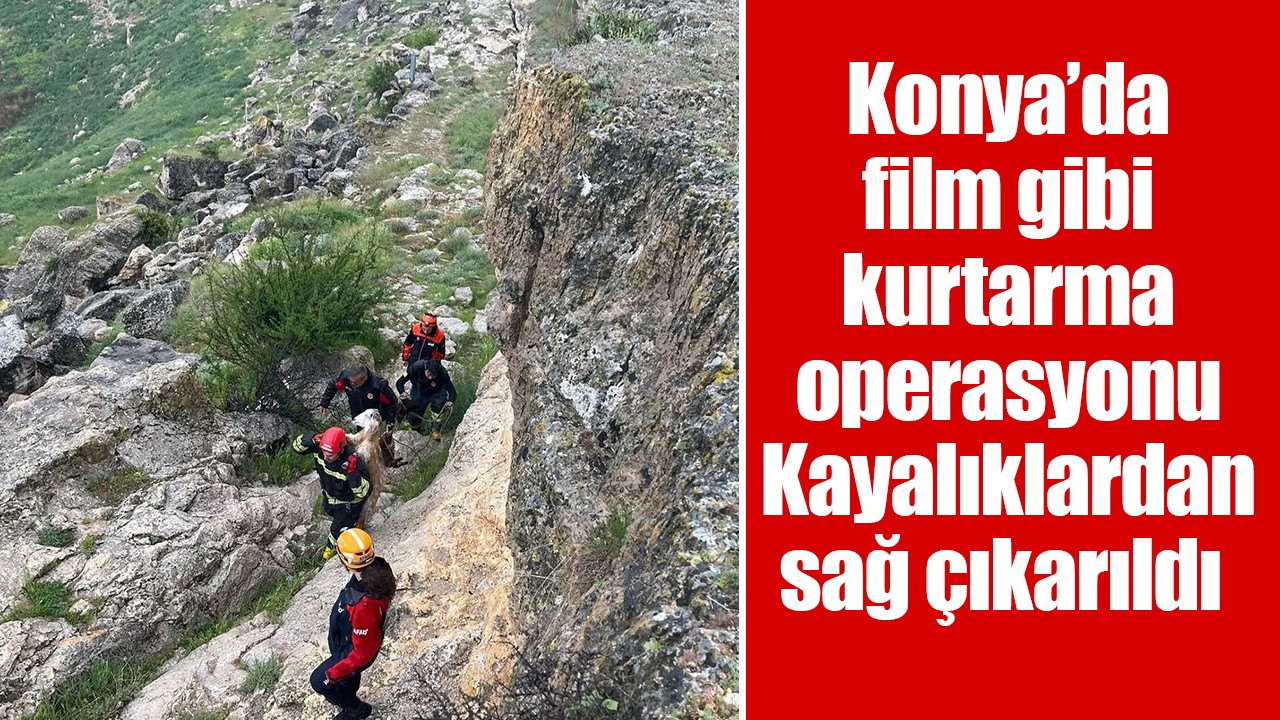 Konya’da film gibi kurtarma operasyonu: Kayalıklardan sağ çıkarıldı