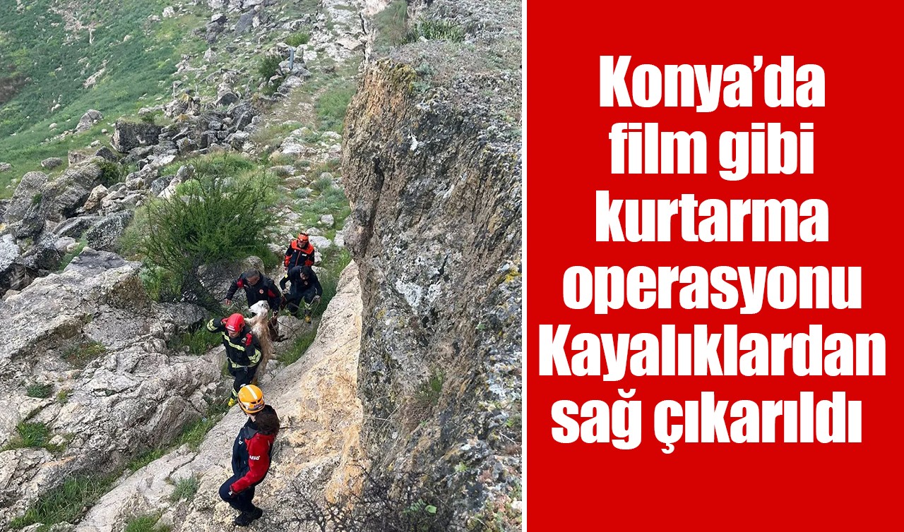 Konya’da film gibi kurtarma operasyonu: Kayalıklardan sağ çıkarıldı
