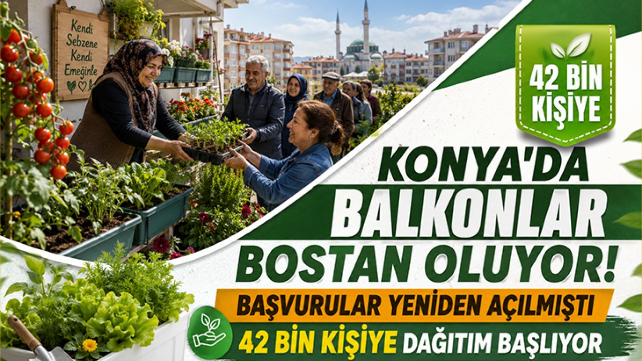 Konya'da balkonlar bostan oluyor! Başvurular yeniden açılmıştı, 42 bin kişiye dağıtım başlıyor