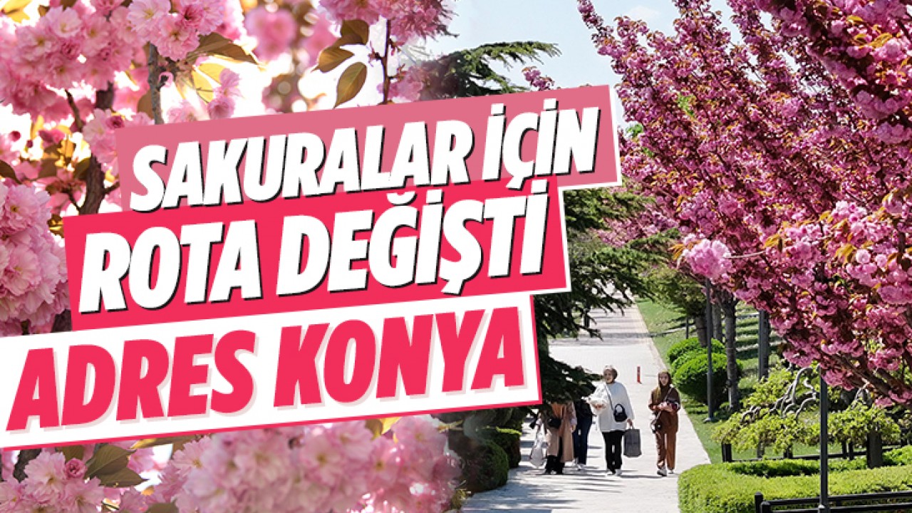 Sakuralar için rota değişti: Adres Konya