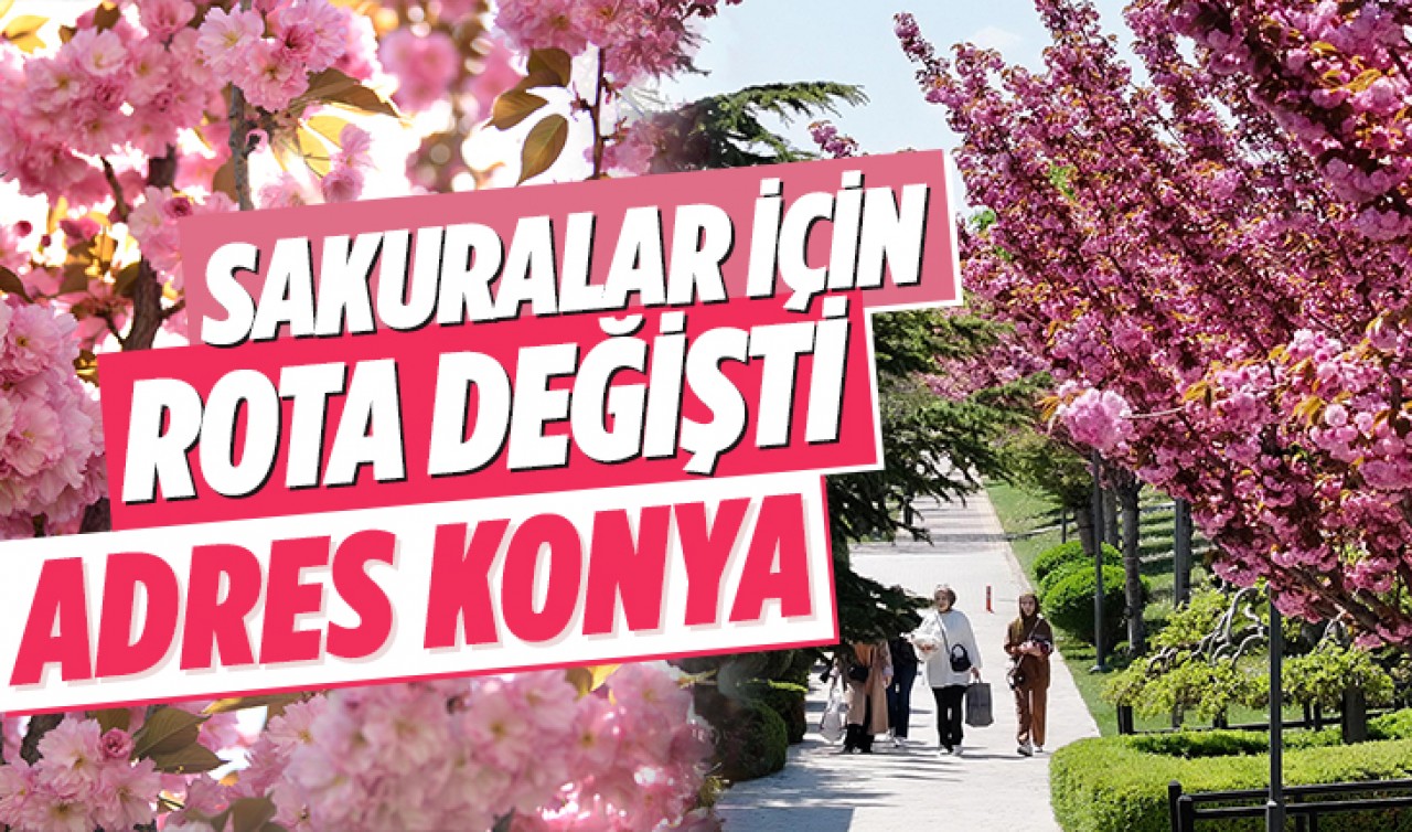 Sakuralar için rota değişti: Adres Konya