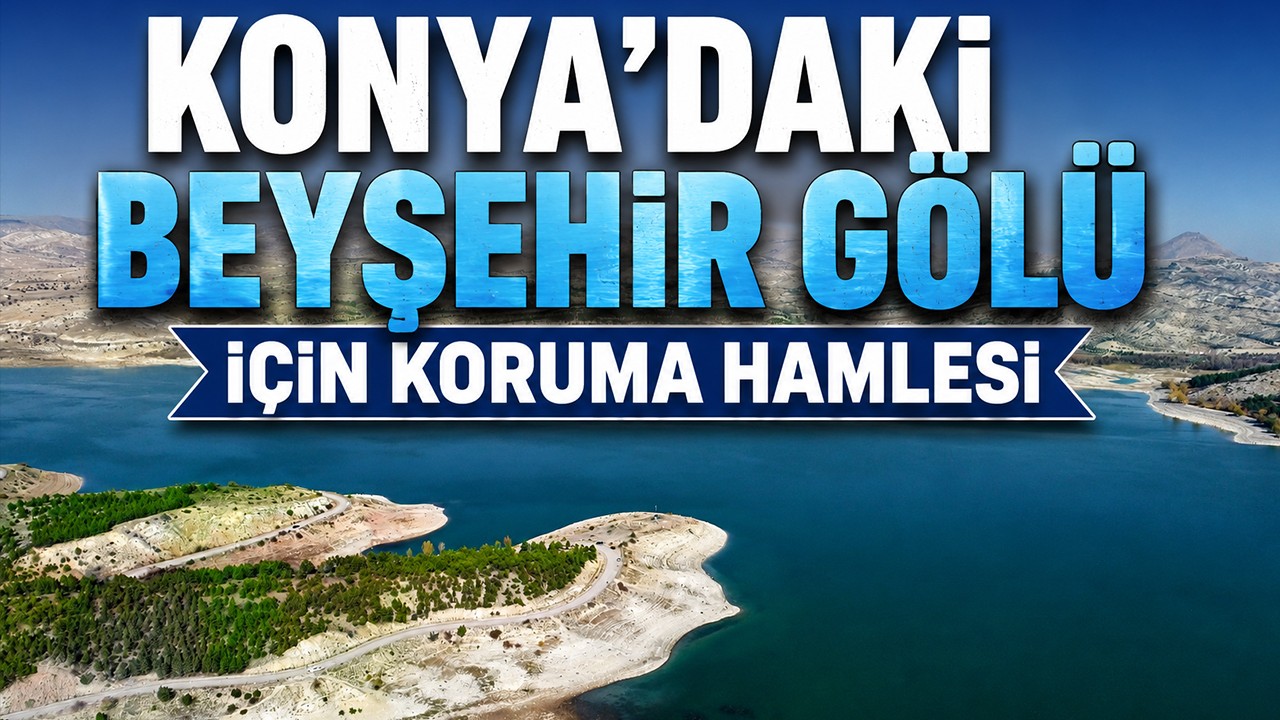 Konya’daki Beyşehir Gölü için koruma hamlesi