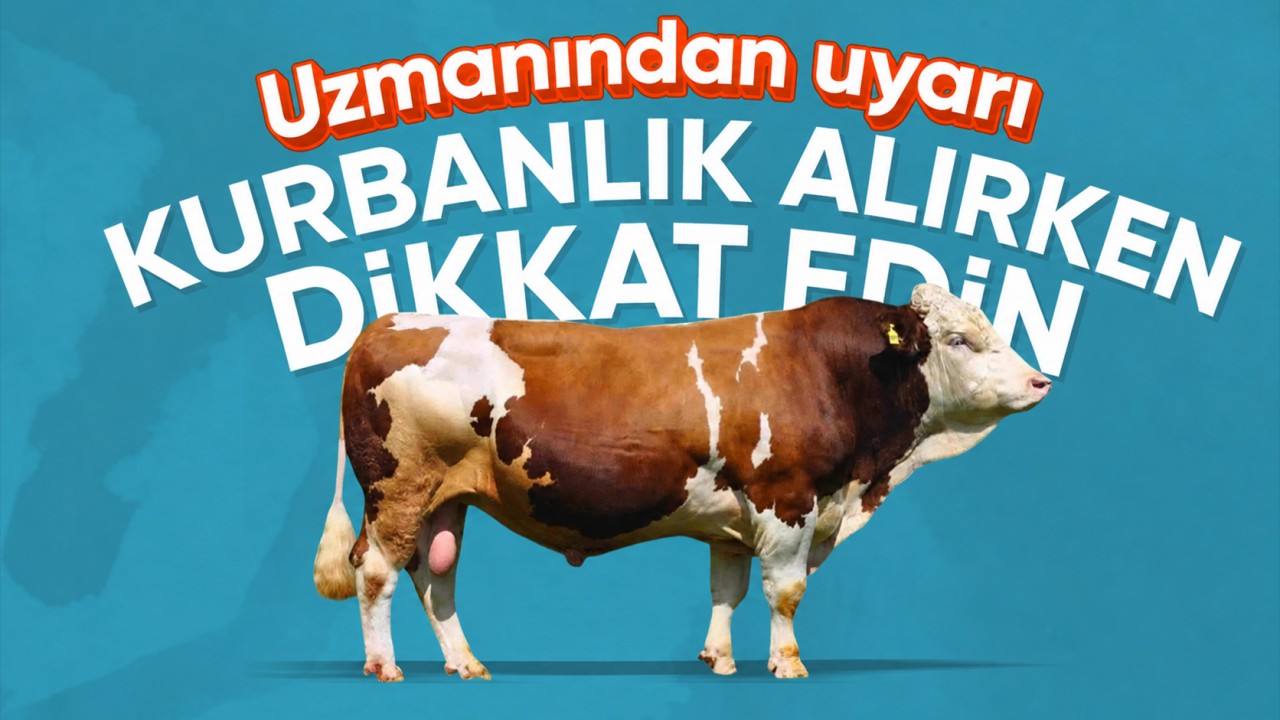 Uzmanından uyarı "Kurbanlık alırken dikkat edin"