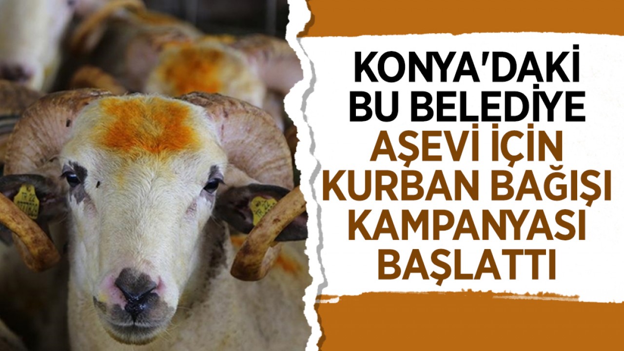 Konya'daki bu belediye aşevi için kurban bağışı kampanyası başlatıldı