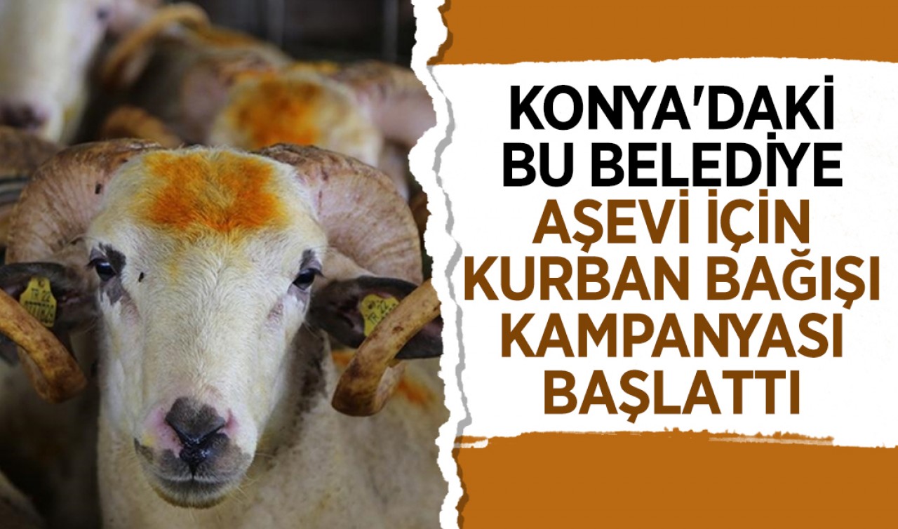 Konya'daki bu belediye aşevi için kurban bağışı kampanyası başlatıldı