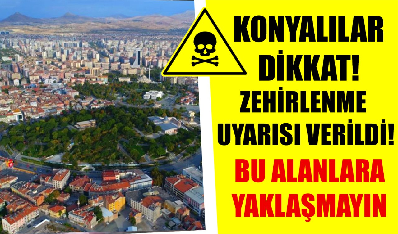 Konyalılar dikkat! Zehirlenme uyarısı verildi: Bu alanlara yaklaşmayın