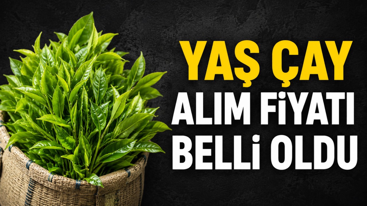 2026 yaş çay fiyatı açıklandı
