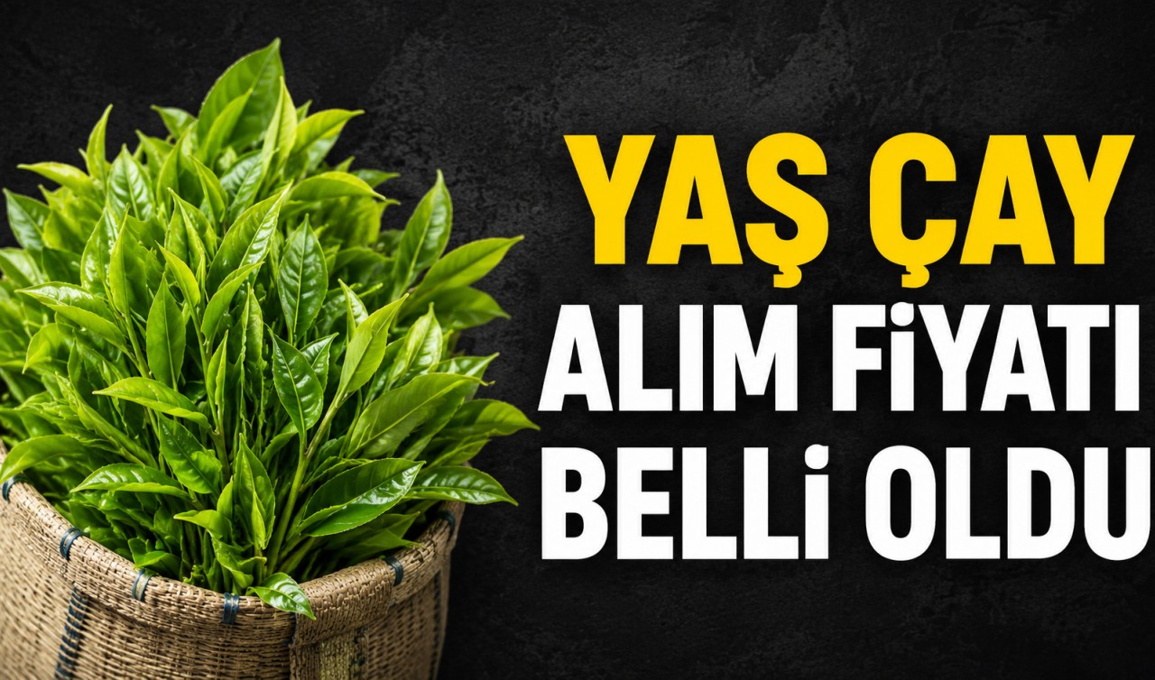 2026 yaş çay fiyatı açıklandı
