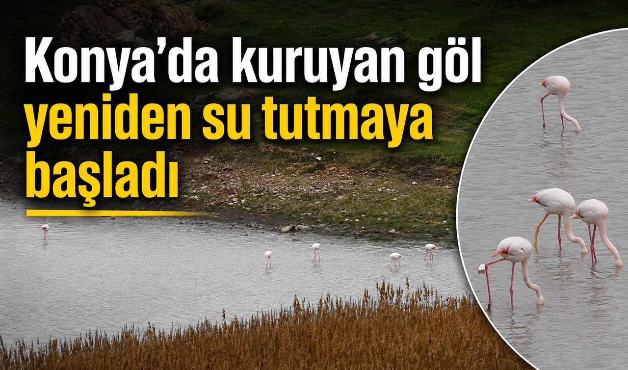 Konya'da kuruyan göl yeniden su tutmaya başladı