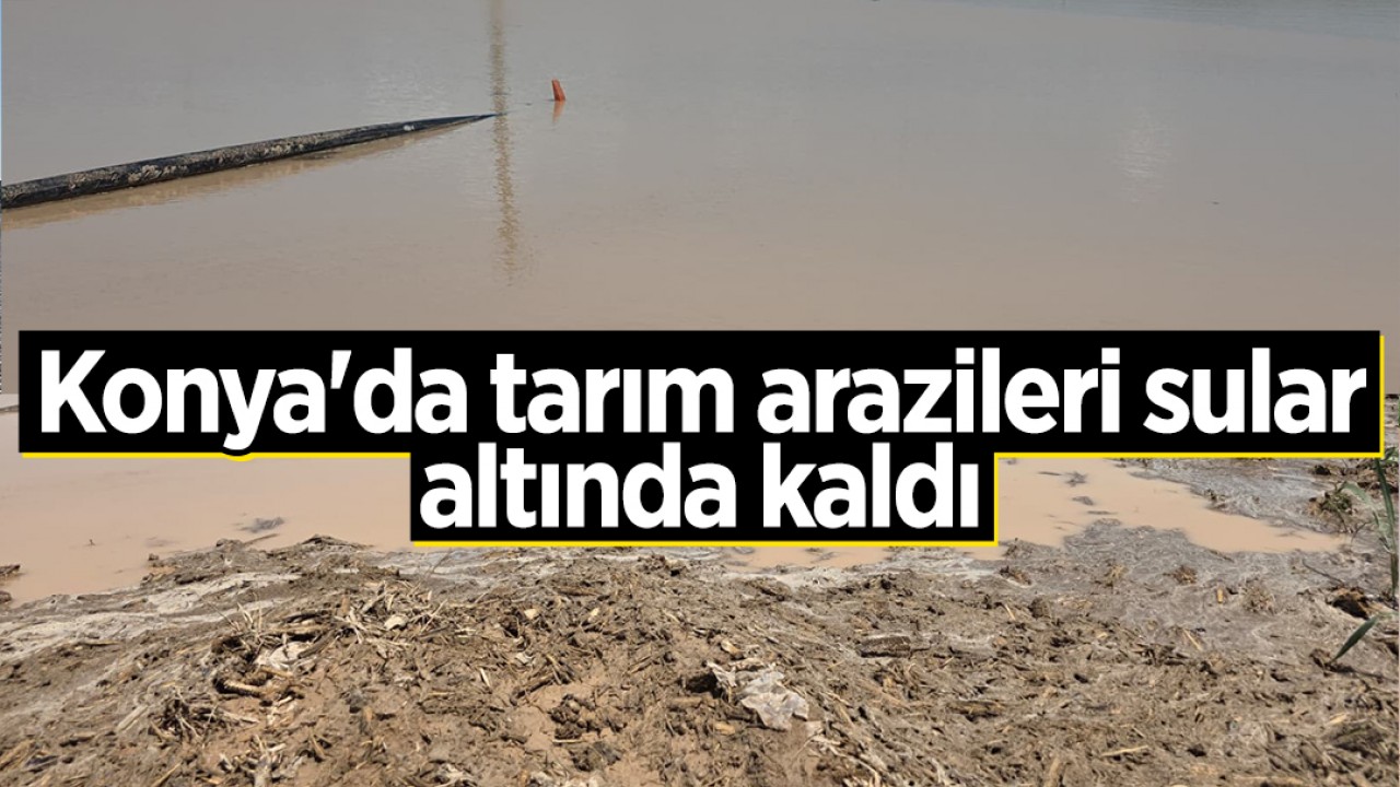Konya'da tarım arazileri sular altında kaldı