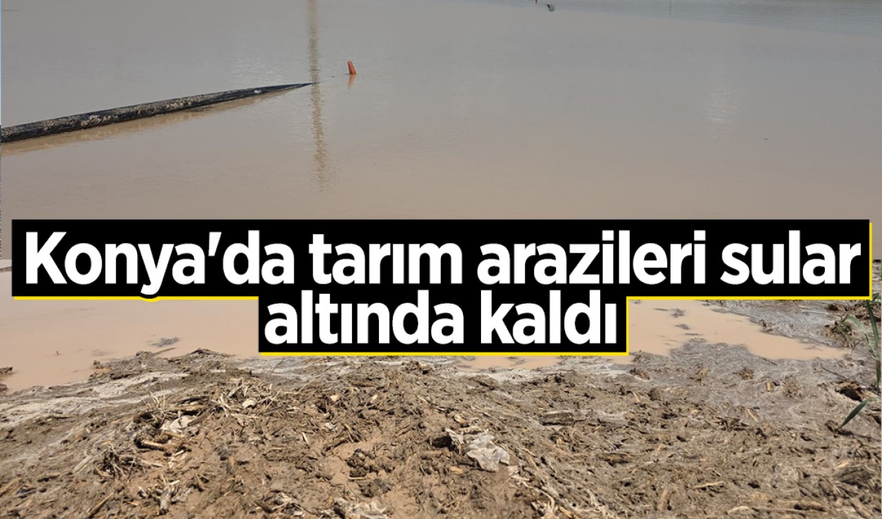 Konya'da tarım arazileri sular altında kaldı