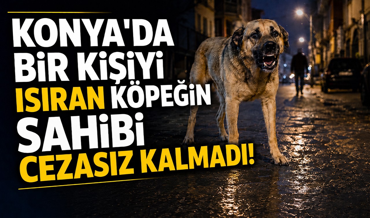 Konya'da bir kişiyi ısıran köpeğin sahibi cezasız kalmadı!