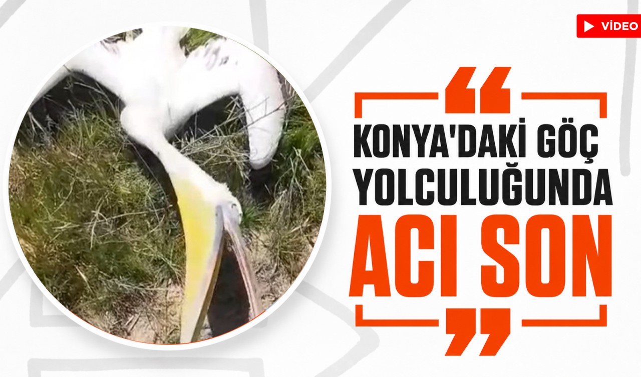 Konya'daki göç yolculuğunda acı son