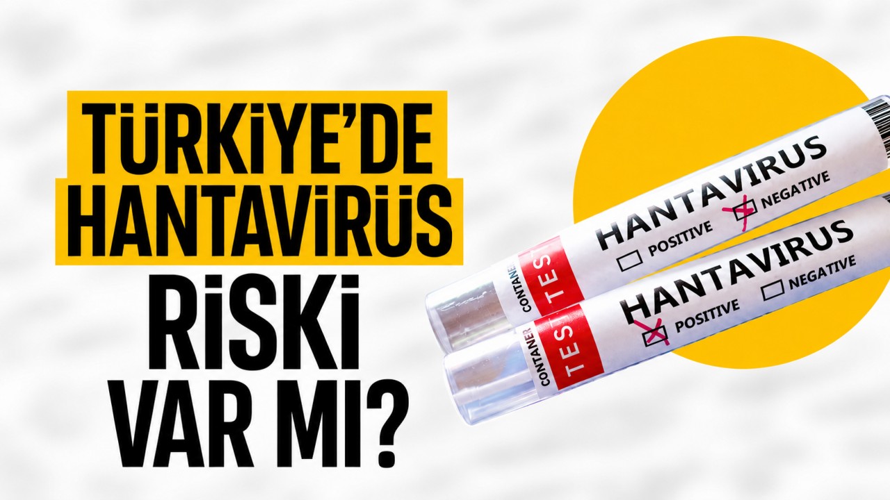Bakan Memişoğlu açıkladı: Türkiye'de hantavirüs riski var mı?