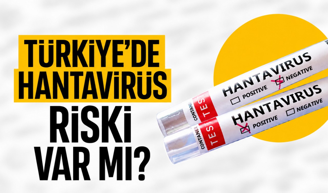 Bakan Memişoğlu açıkladı: Türkiye'de hantavirüs riski var mı?