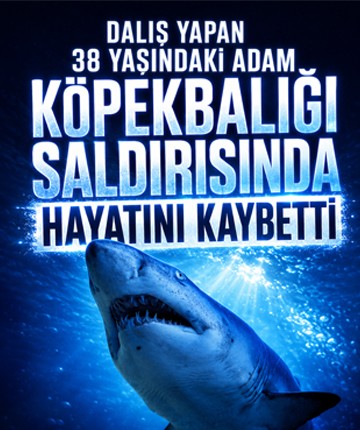 Dalış yapan 38 yaşındaki adam köpekbalığı saldırısında hayatını kaybetti