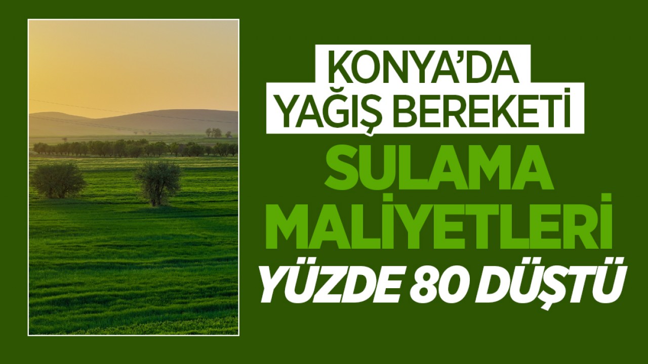 Konya’da yağış bereketi: Sulama maliyetleri yüzde 80 düştü