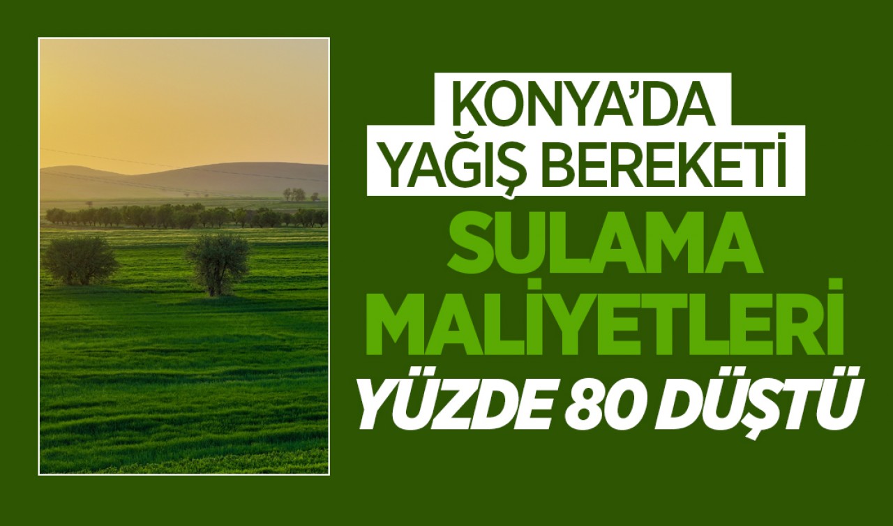 Konya’da yağış bereketi: Sulama maliyetleri yüzde 80 düştü
