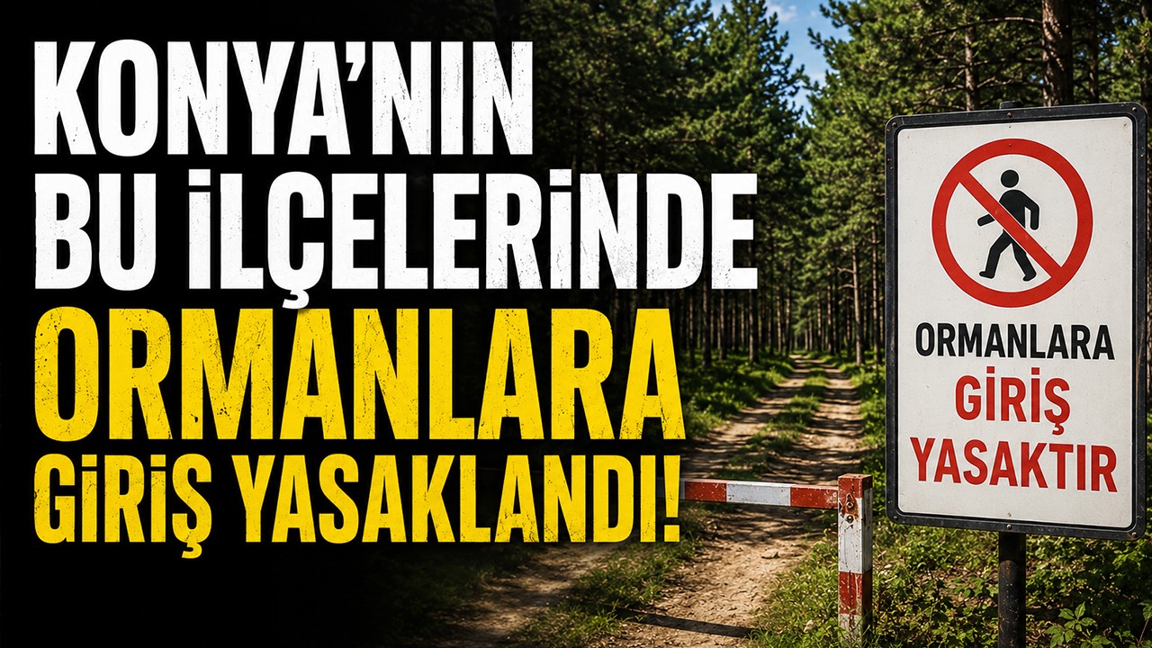 Konya'nın bu ilçelerinde ormanlara giriş yasaklandı!