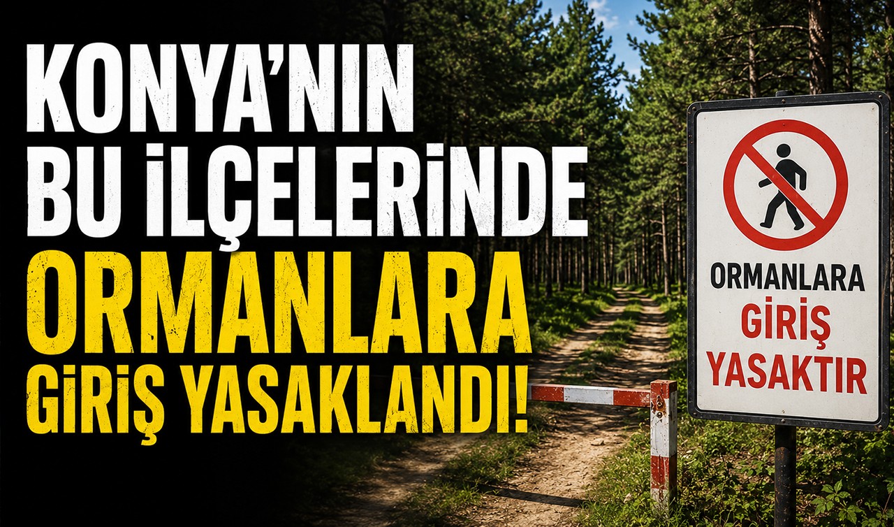 Konya'nın bu ilçelerinde ormanlara giriş yasaklandı!