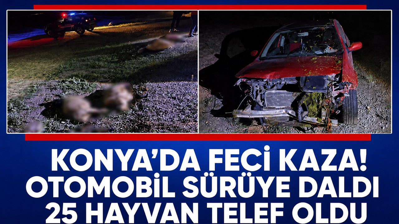 Konya’da feci kaza! Otomobil sürüye daldı: 25 hayvan telef oldu