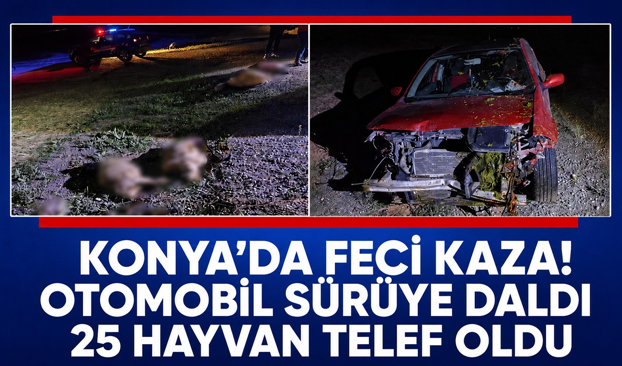 Konya’da feci kaza! Otomobil sürüye daldı: 25 hayvan telef oldu