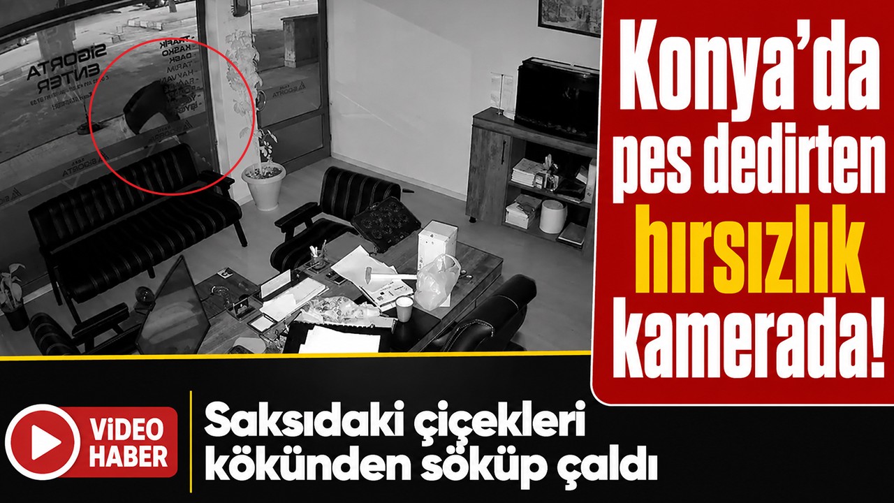 Konya’da pes dedirten hırsızlık kamerada! Saksıdaki çiçekleri kökünden söküp çaldı