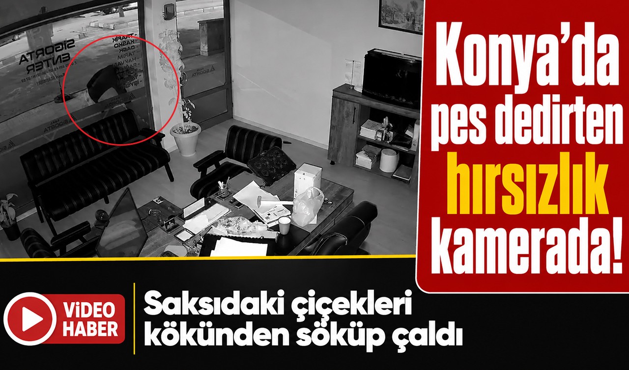 Konya’da pes dedirten hırsızlık kamerada! Saksıdaki çiçekleri kökünden söküp çaldı