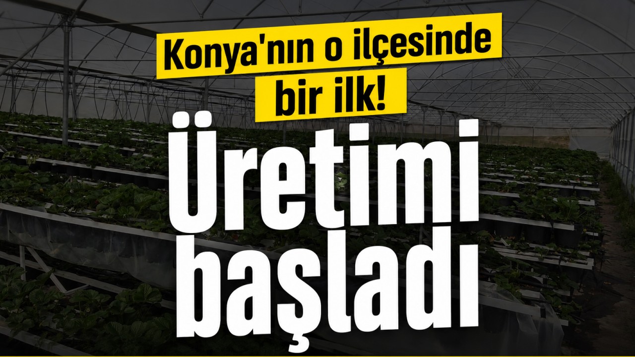 Konya'nın o ilçesinde bir ilk! Üretimi başladı