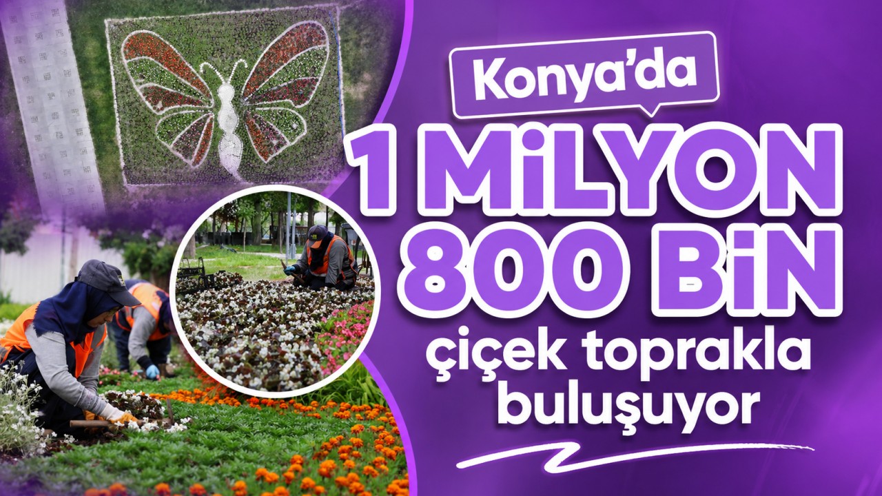 Konya'da  1 milyon 800 bin çiçek toprakla buluşuyor