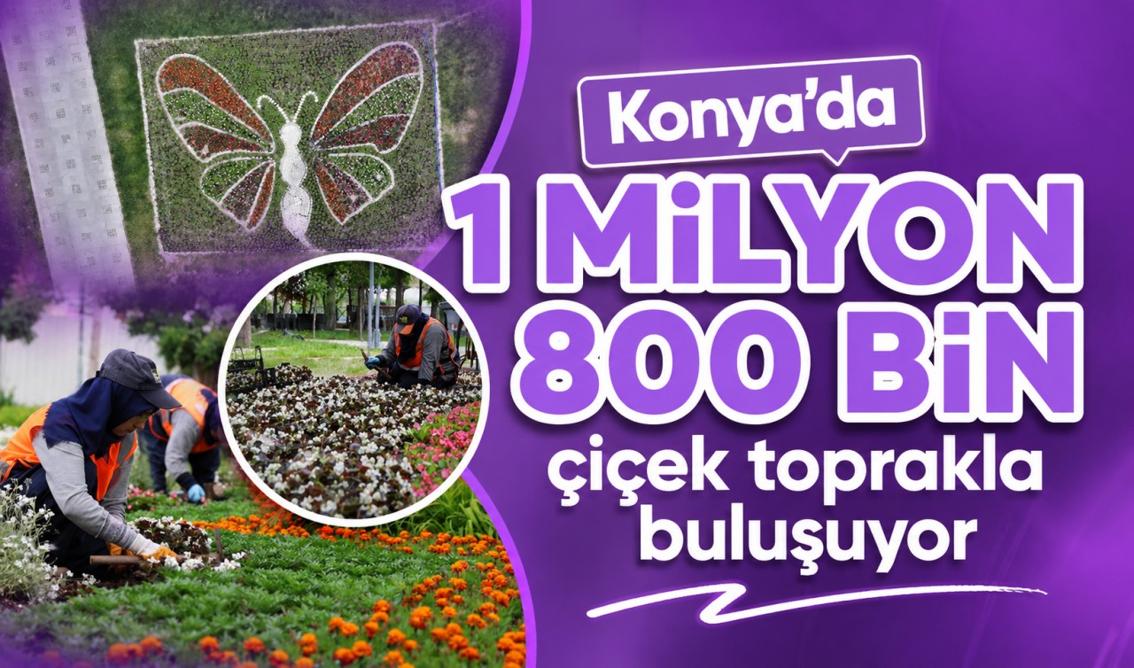 Konya'da  1 milyon 800 bin çiçek toprakla buluşuyor