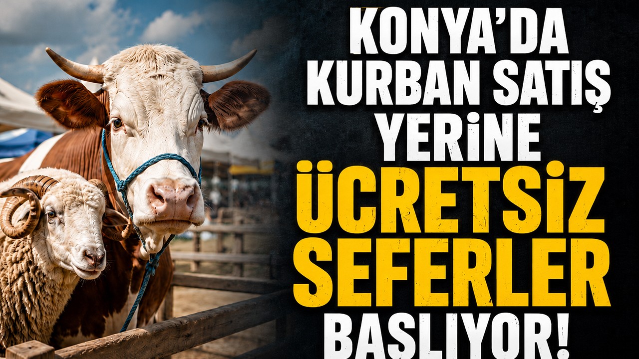Konya'da kurban satış yerine ücretsiz seferler başlıyor!