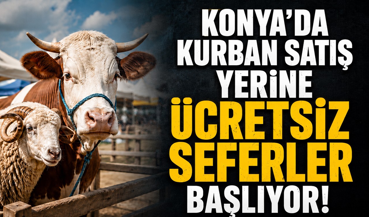 Konya'da kurban satış yerine ücretsiz seferler başlıyor!