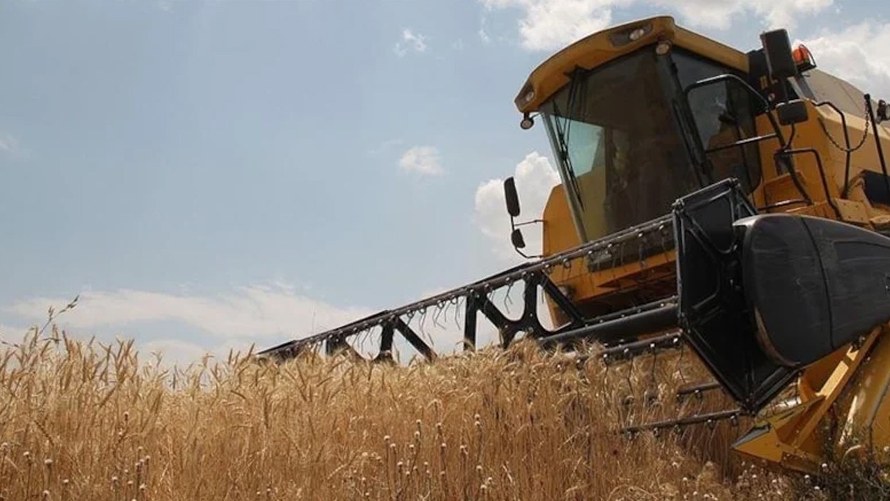 TMO, buğday ve arpa alımlarına bugün başlıyor