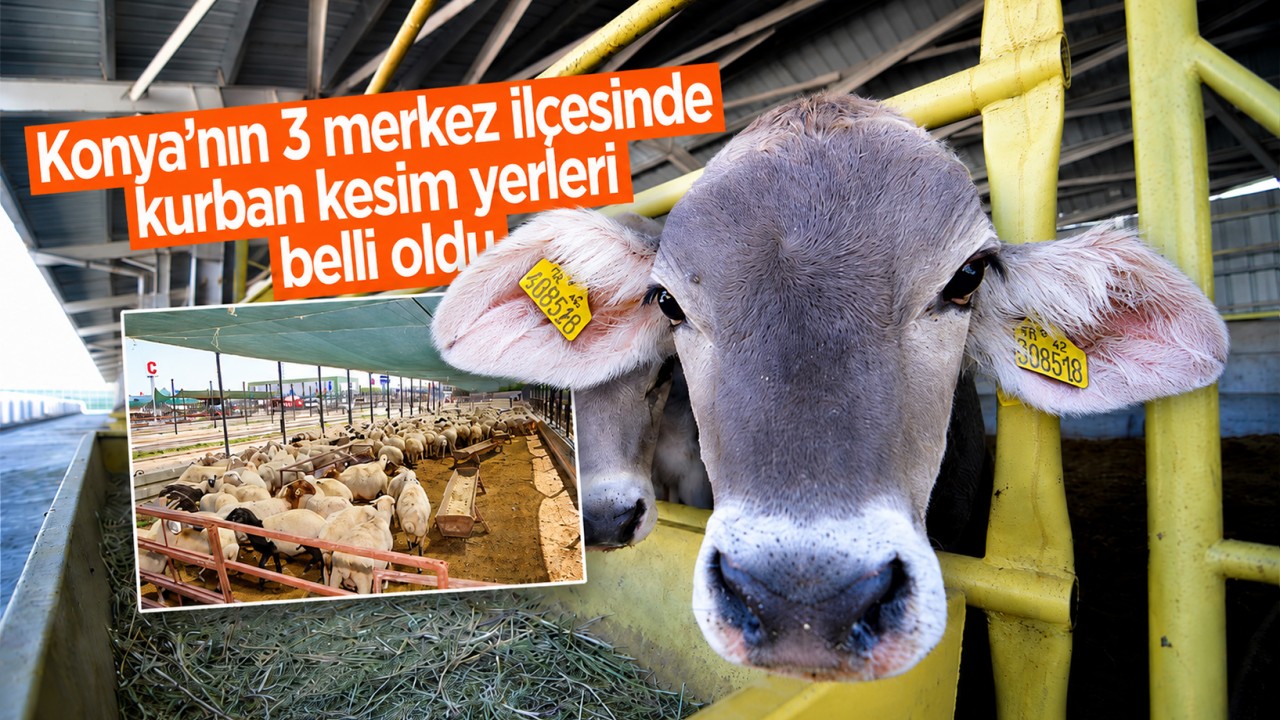 Konya’nın 3 merkez ilçesinde kurban kesim yerleri belli oldu