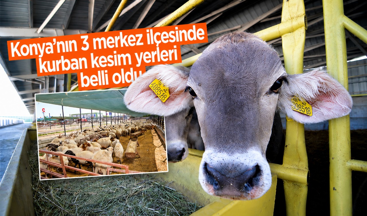 Konya’nın 3 merkez ilçesinde kurban kesim yerleri belli oldu