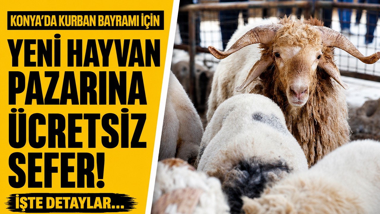 Konya’da Kurban Bayramı için yeni hayvan pazarına ücretsiz sefer! İşte detaylar...