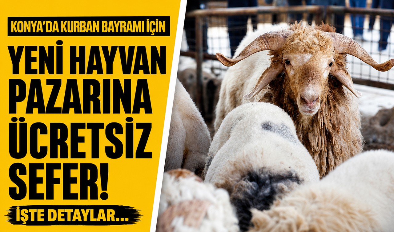 Konya’da Kurban Bayramı için yeni hayvan pazarına ücretsiz sefer! İşte detaylar...