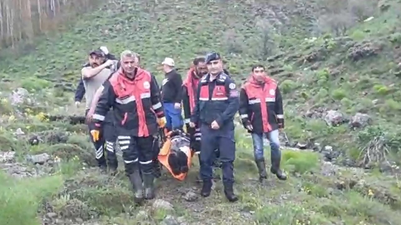 Mantar toplarken ayı saldırısına uğradı