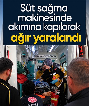 Süt sağma makinesinde akımına kapılarak ağır yaralandı