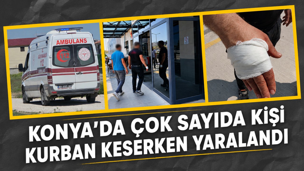 Konya'da çok sayıda kişi kurban keserken yaralandı