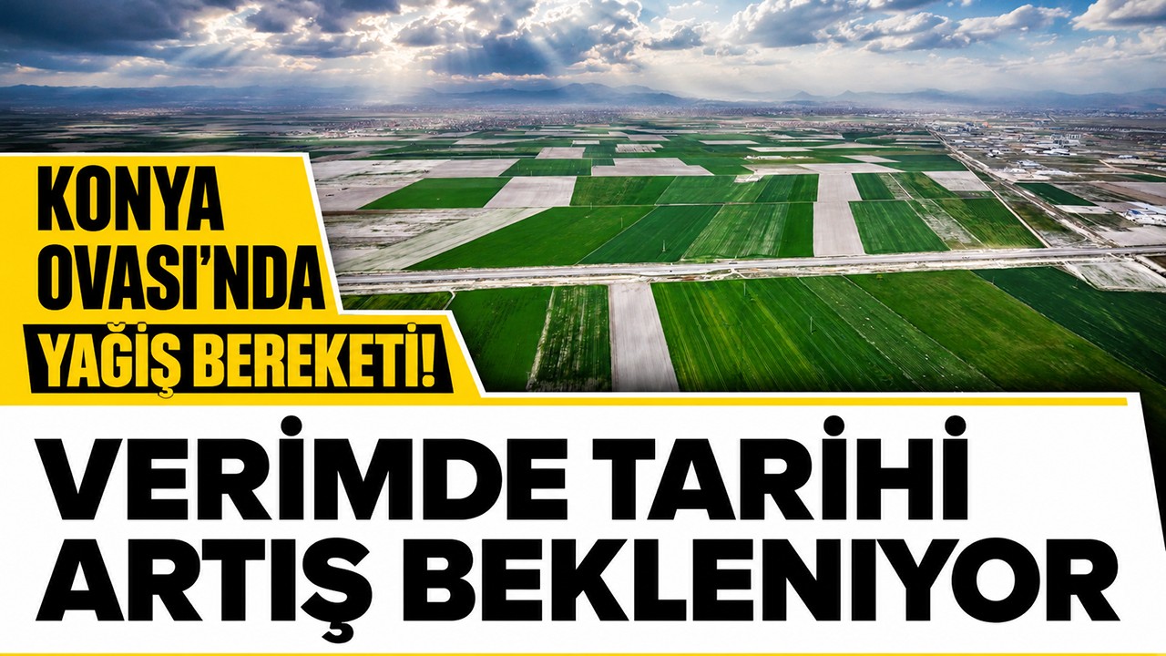 Konya Ovası’nda yağış bereketi! Verimde tarihi artış bekleniyor
