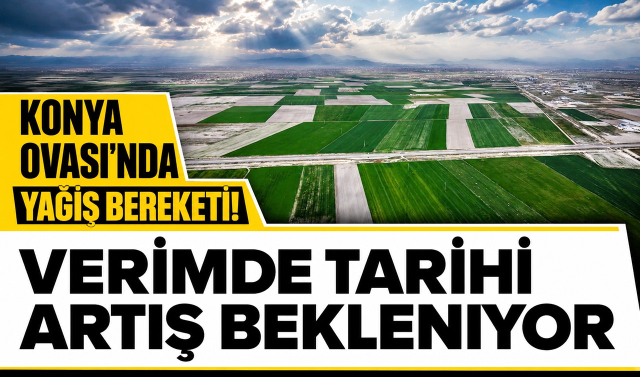Konya Ovası’nda yağış bereketi! Verimde tarihi artış bekleniyor