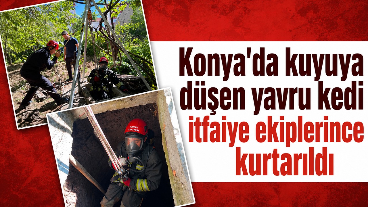 Konya'da kuyuya düşen yavru kedi itfaiye ekiplerince kurtarıldı