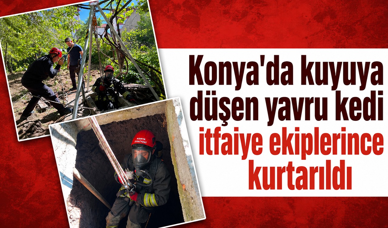 Konya'da kuyuya düşen yavru kedi itfaiye ekiplerince kurtarıldı