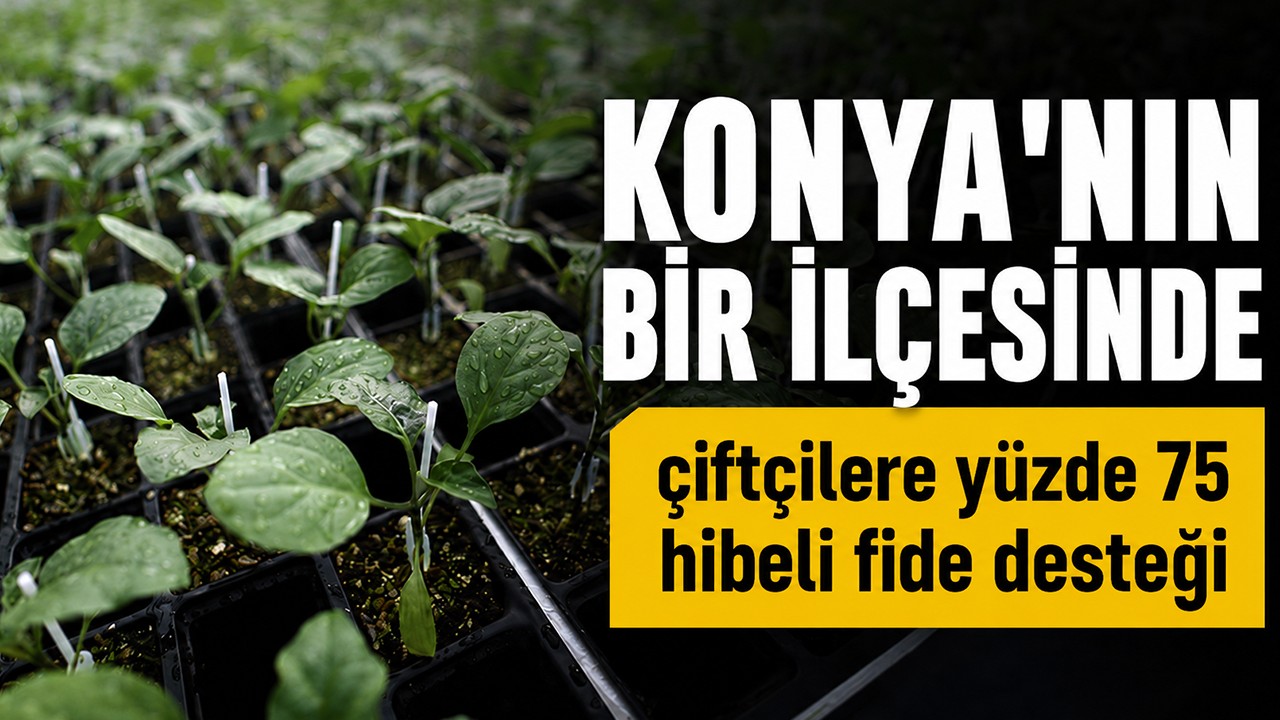 Konya'nın bir ilçesinde çiftçilere yüzde 75 hibeli fide desteği