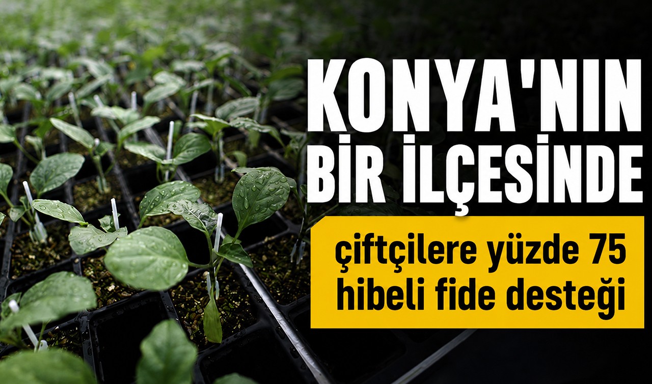 Konya'nın bir ilçesinde çiftçilere yüzde 75 hibeli fide desteği