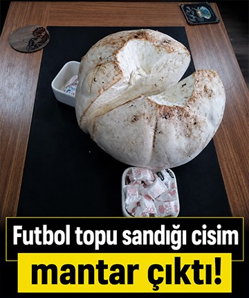 Futbol topu sandığı cisim mantar çıktı!