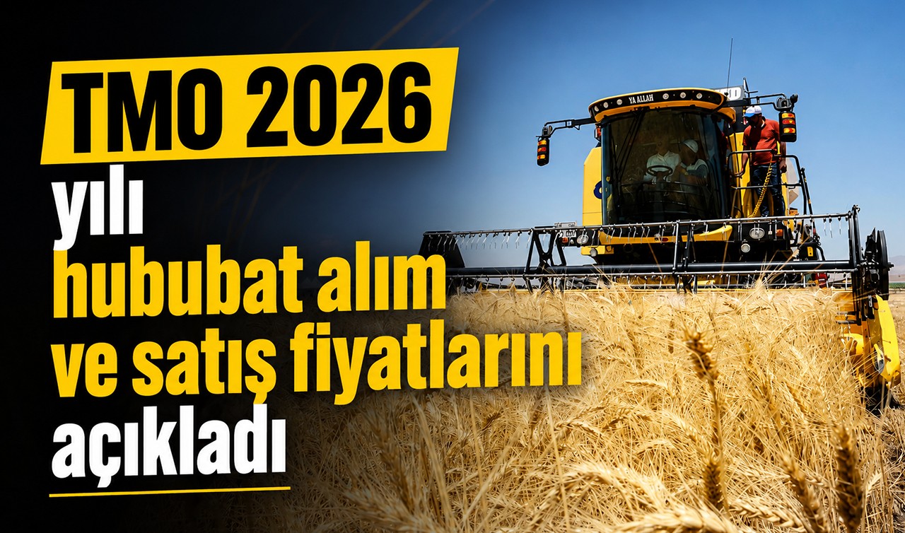 TMO 2026 yılı hububat alım ve satış fiyatlarını açıkladı